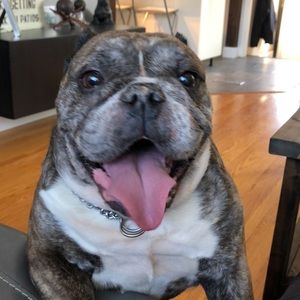 Meet your Posher, Nick